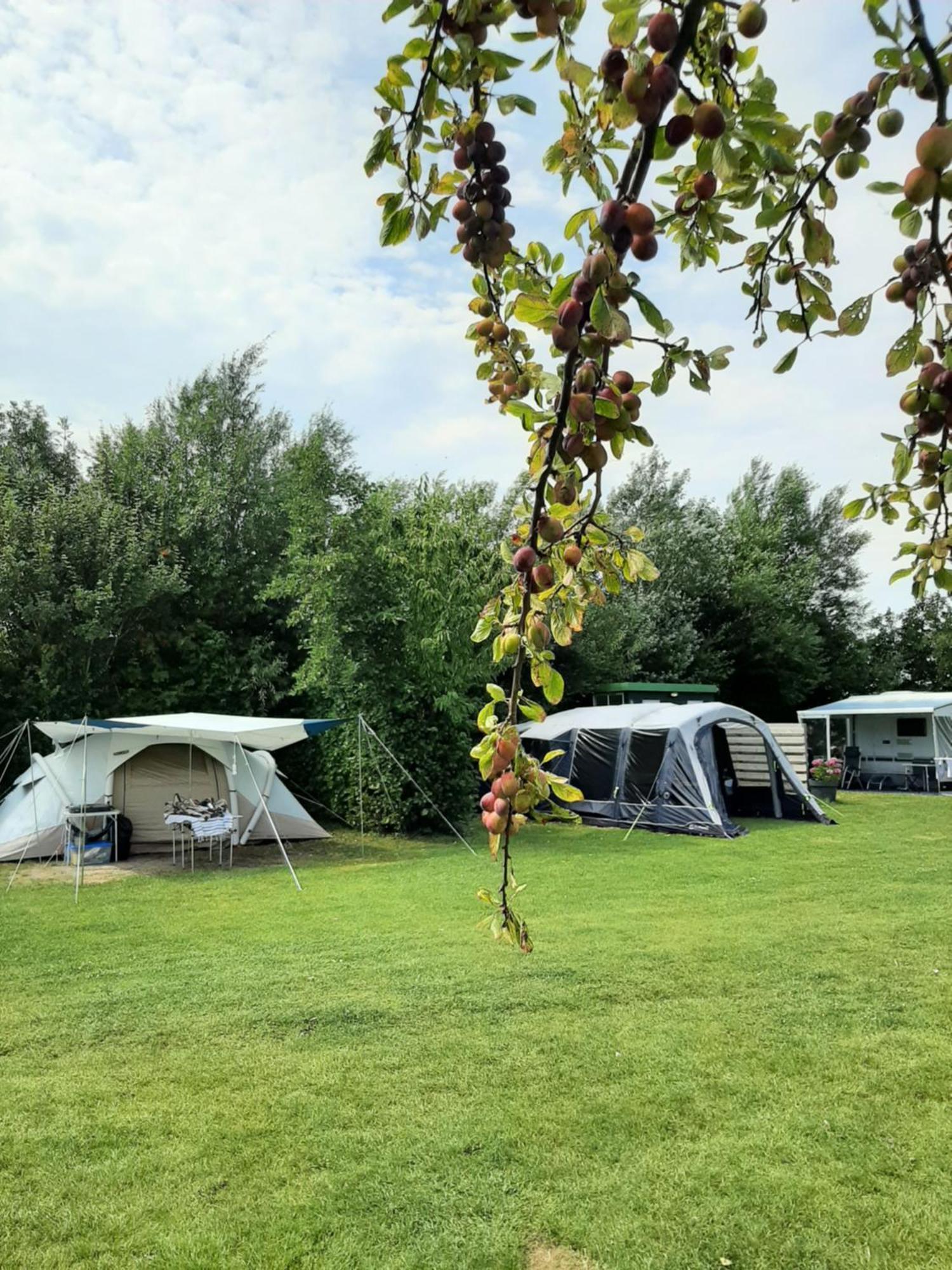 De Tulpenweide Lege Kampeerplaats, Lege Plaats Op Het Gras Zonder Bed Campingplatz *